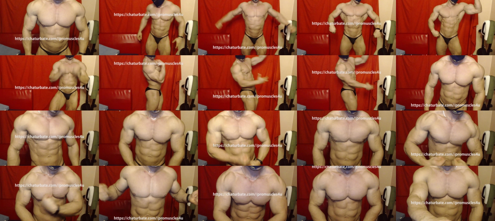 promuscles4u  19-02-2022